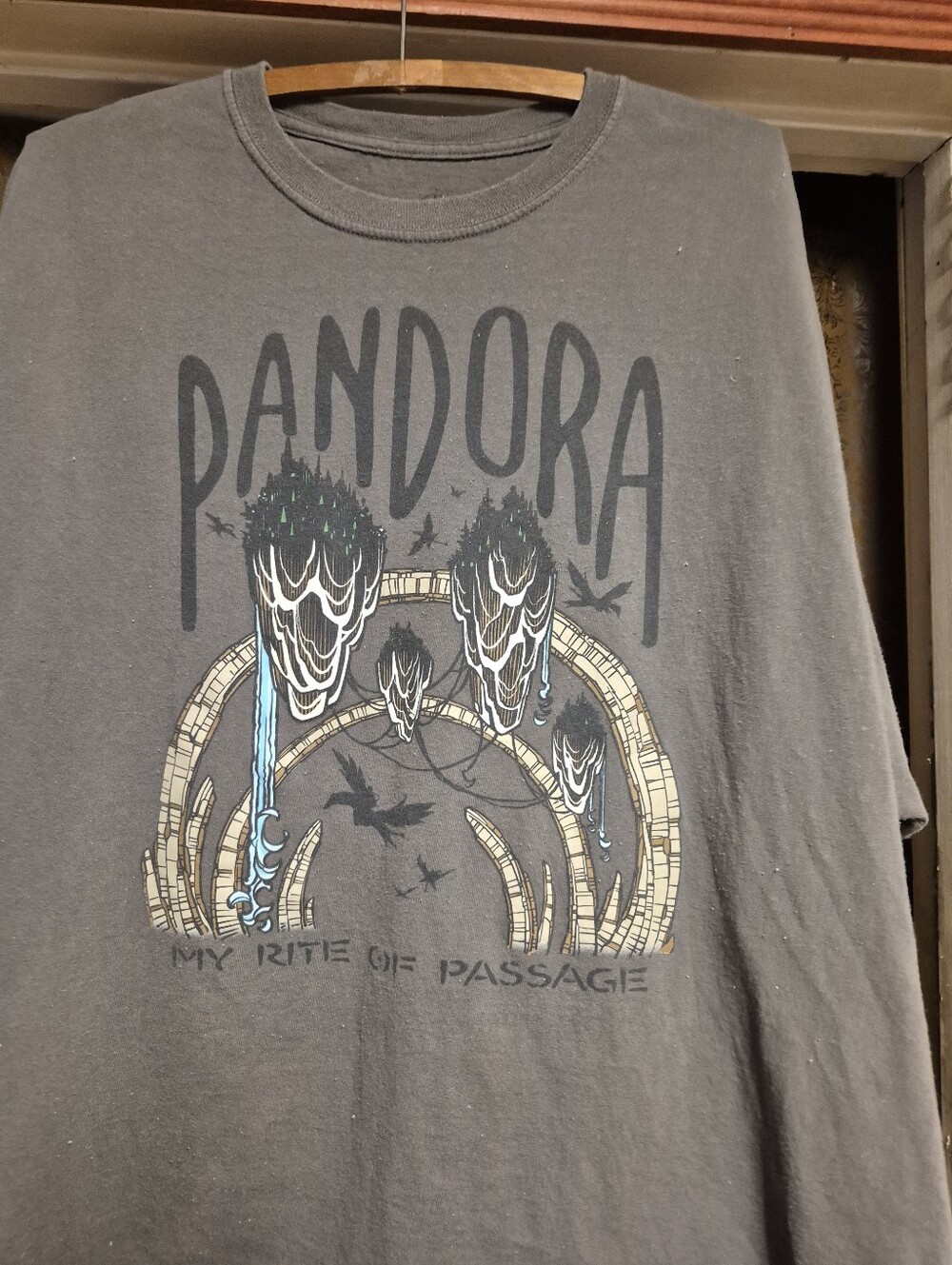Disney Pandora Graphic Short Sleeve Tee - Gray with Blue & Cream Accents
